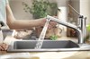 Смеситель Hansgrohe Zesis, Eco 74810000, для кухонной мойки, с вытяжным душем, цвет хром 74810000 - фото 200705